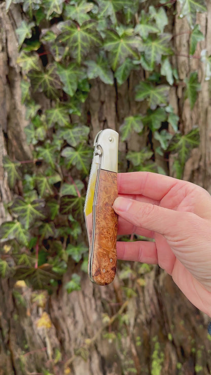 Vintage Custom "Whiskers" Burlwood Lockbock